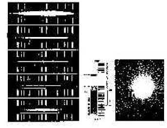 c02p01.jpg (11254 bytes)