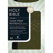 KJV Personal-Size Giant-Print Reference Bible Leather-Look, Black/Khaki Green: 9780718024710
