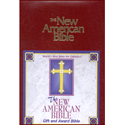 NAB Gift & Award Bible--Imitation Leather, Burgundy: 9780529068125