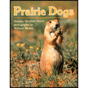 Prairie Dogs:  Dorothy Hinshaw Patent