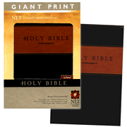NLT Holy Bible, Giant Print TuTone Brown and Tan Imitation Leather: 9781414337487