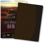 NASB Charles F. Stanley Life Principles Study Bible, Brown/Charcoal Bonded Leather:  Charles F. Stanley: 9781418542023