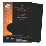 NASB MacArthur Study Bible Large Print Black Bonded Thumb-Indexed:  John MacArthur: 9781418542290