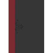 more information about The NKJV Life Lessons Study Bible, soft leather-look, burgundy/stormcloud gray