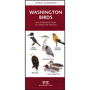 Washington Birds: 9781583551196
