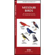 Missouri Birds: 9781583551257