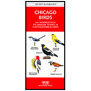 Chicago Birds: 9781583551387