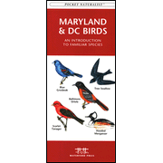 Maryland & DC Birds: 9781583551516