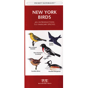 New York Birds: 9781583551592