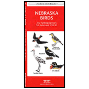 Nebraska Birds: 9781583551851