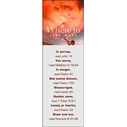 Where to Look, Topic Bookmarks, 25: 9780805457568