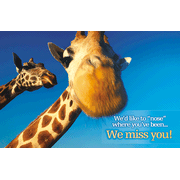 We Miss You-Giraffe Postcard, PAckage of 25: 9780805457919