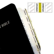 Bible Tabbies, Silver, Mini