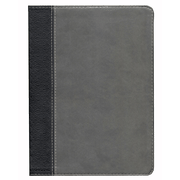 HCSB Study Bible, Black/Gray Simulated Leather, Thumb-Indexed: 9781433601231