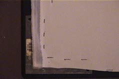 Stapling Detail